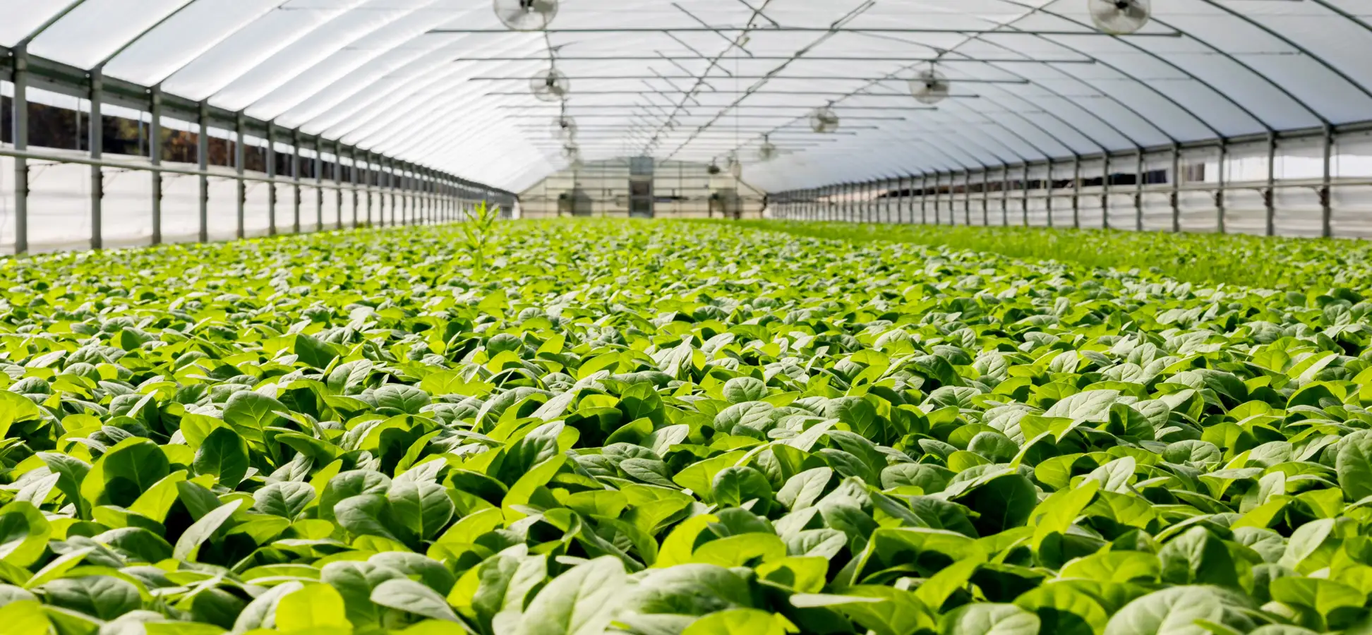 Agricultural Services image