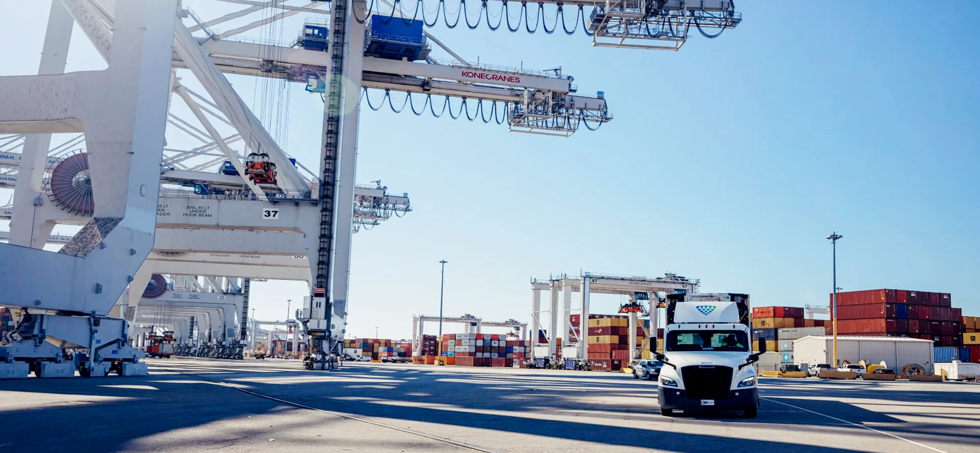 Import and Export image